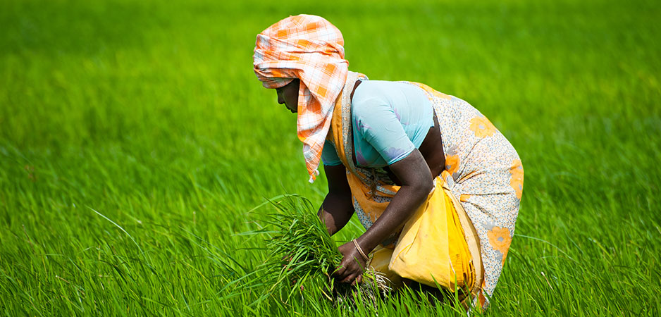 It’s Time to Introduce a Universal Basic Income for India’s Farmers