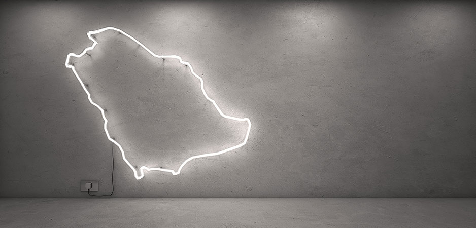 The COVID-19 Crisis Has Catalyzed Vision 2030