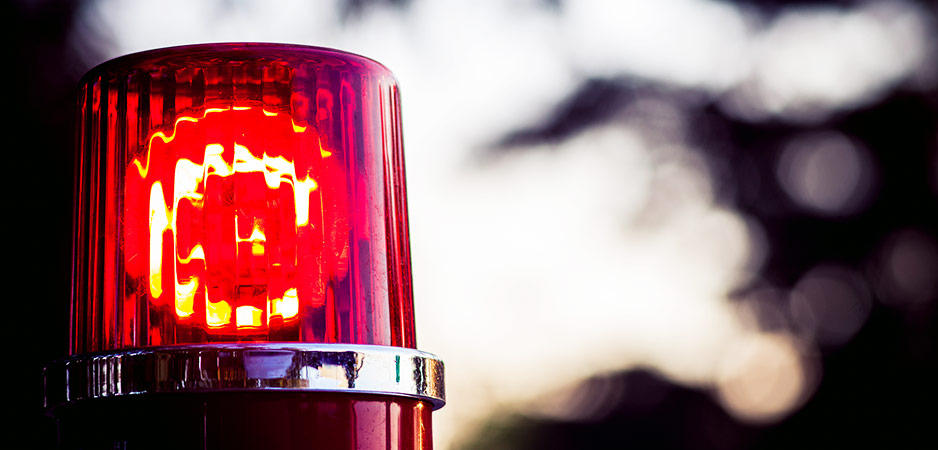 The New Police State