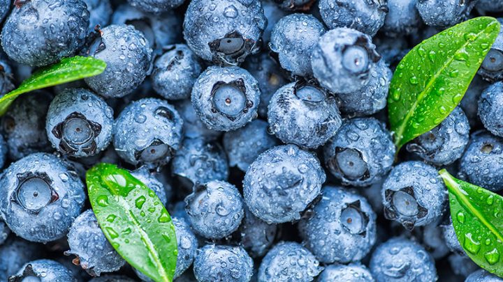 Europe’s Thirst for Virtual Water: Blueberry Fields Forever?