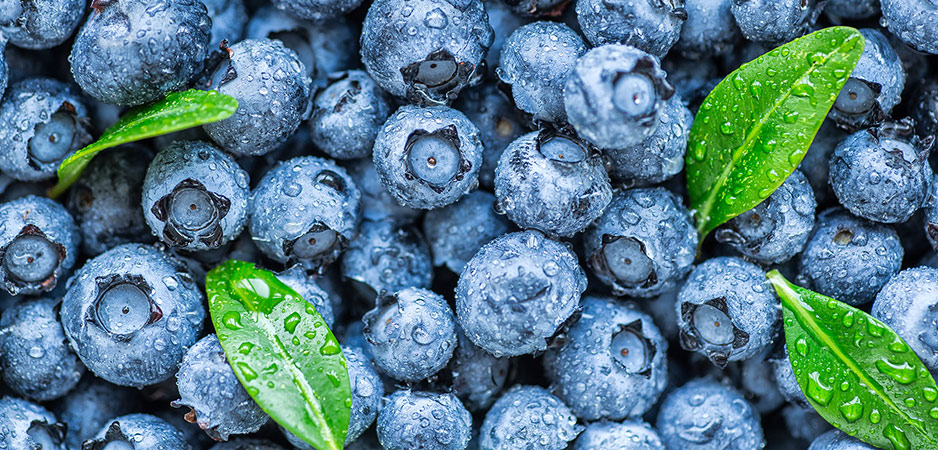 Europe’s Thirst for Virtual Water: Blueberry Fields Forever?