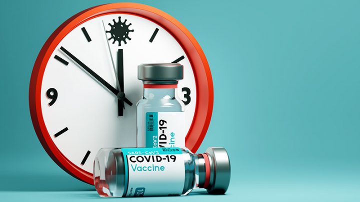 Can the Word “Solidarity” Have Any Meaning in the Consumer Society?